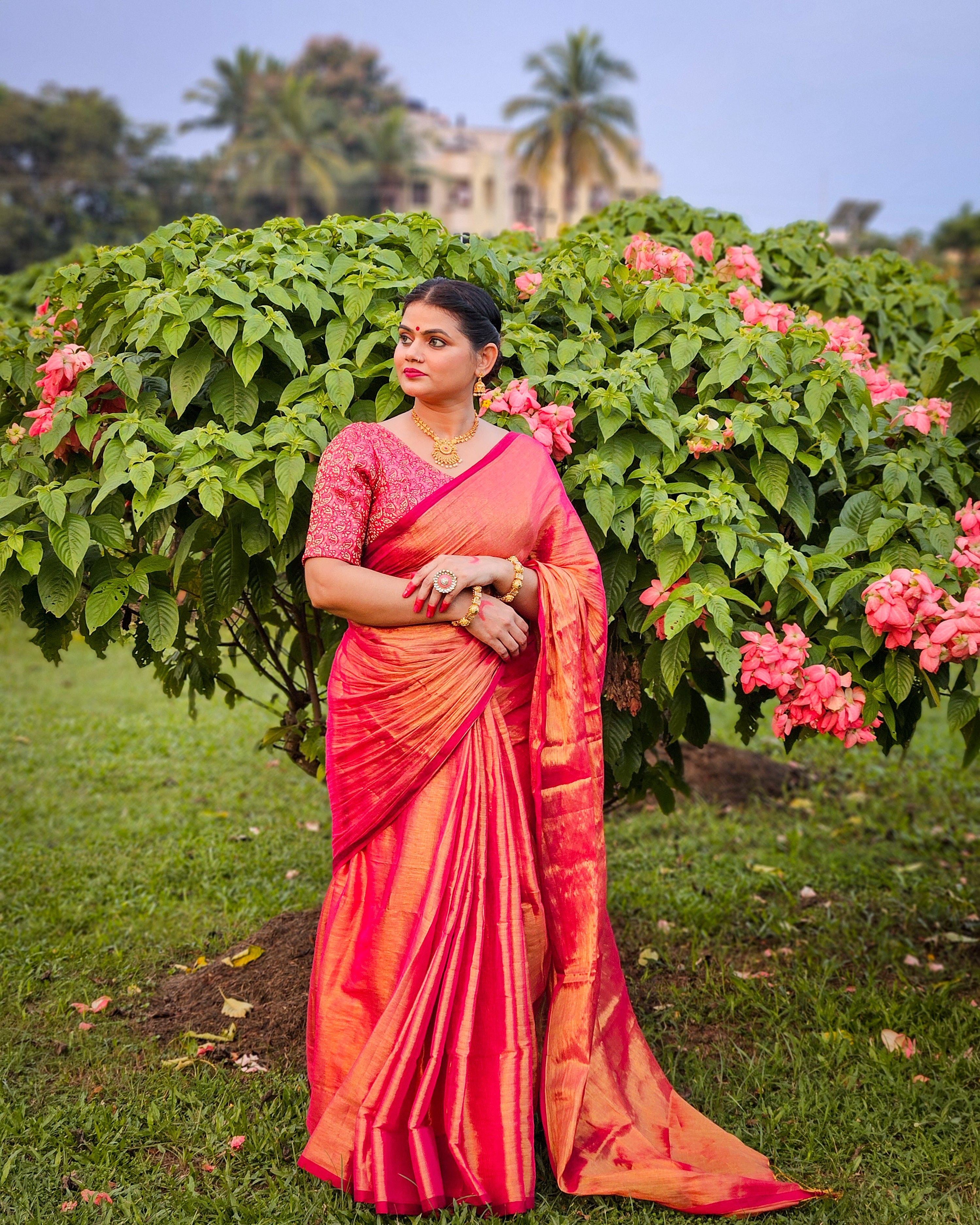 RangDhaaga Surya Kiran with pink border Raga Tissue Saree