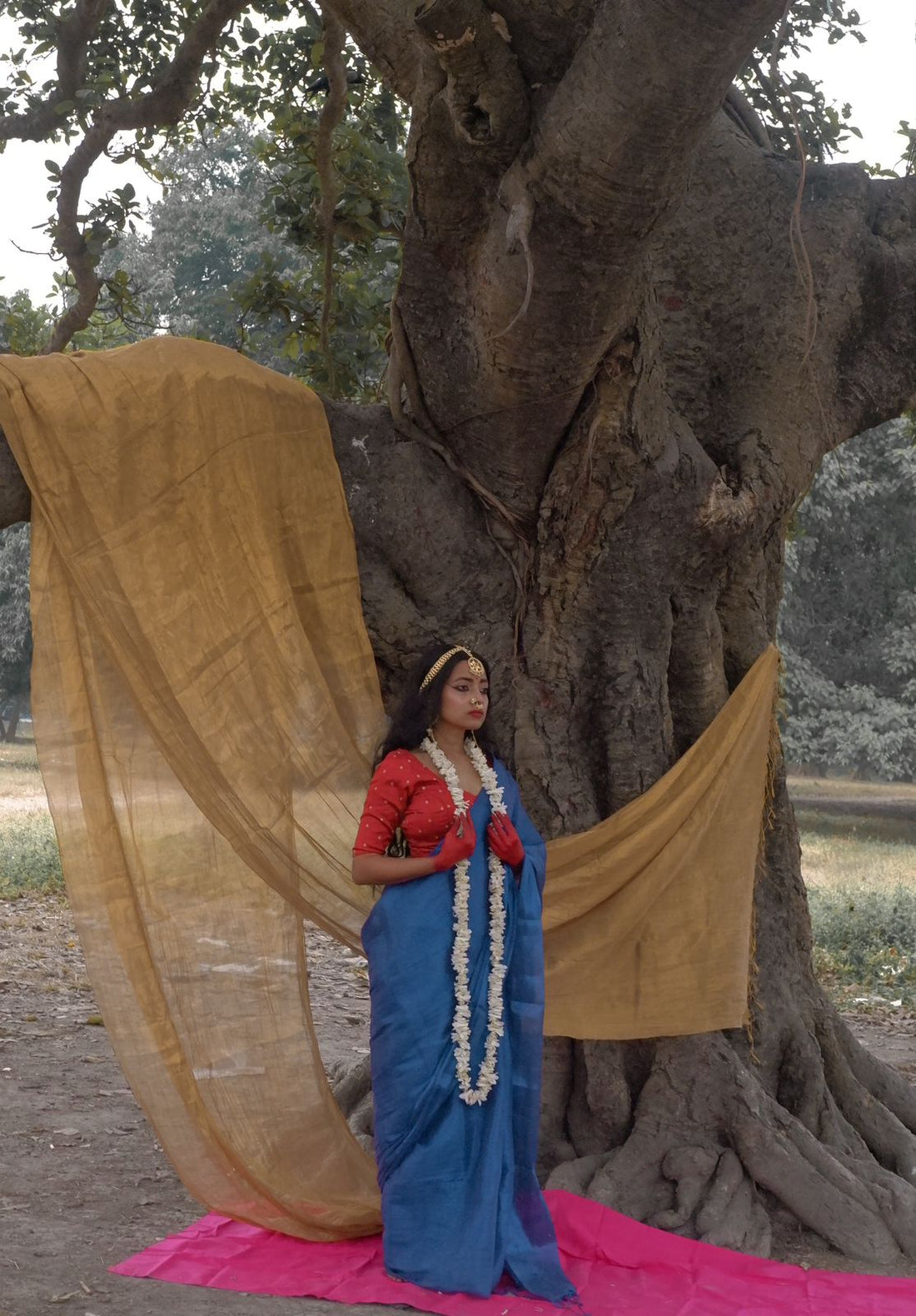 RangDhaaga Royal Blue Raga Tissue Saree