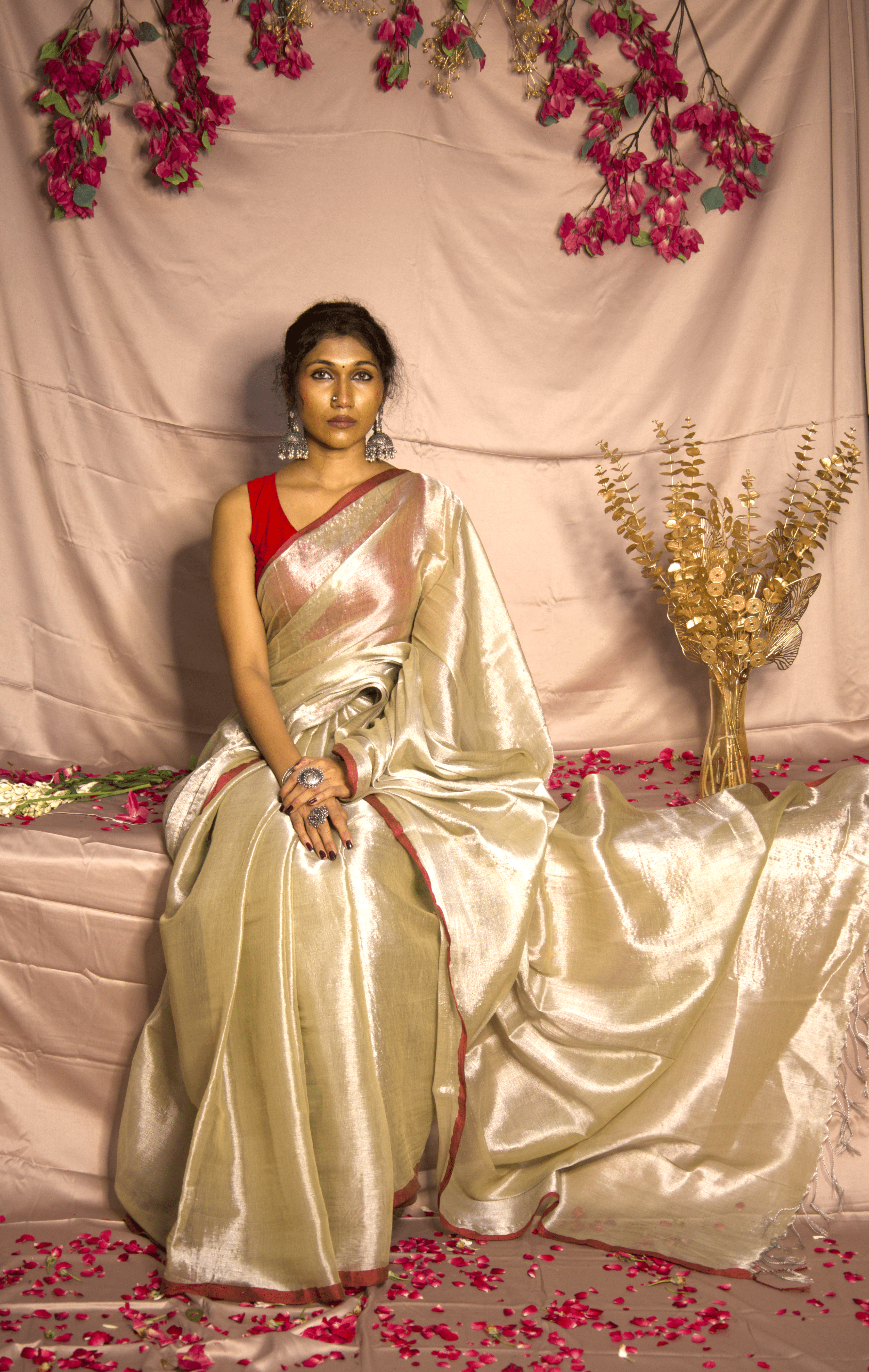 RangDhaaga Mocha Raga Tissue Saree