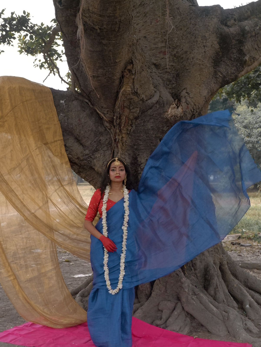 RangDhaaga Royal Blue Raga Tissue Saree