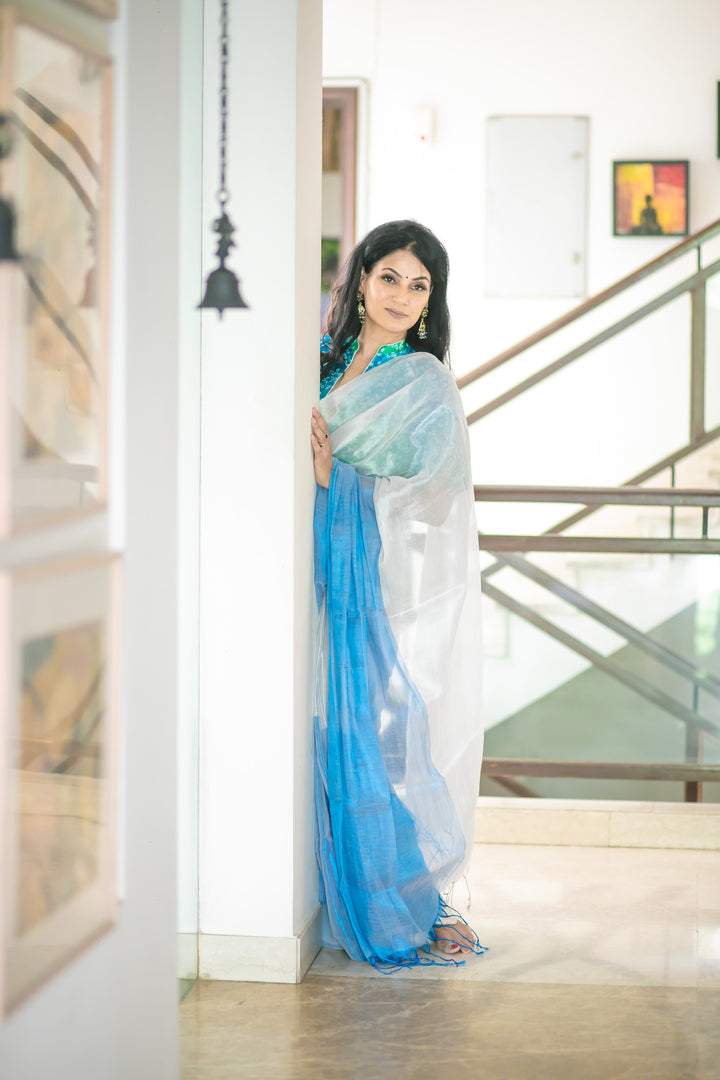 RangDhaaga Chaandni Neelam Raga Tissue Saree